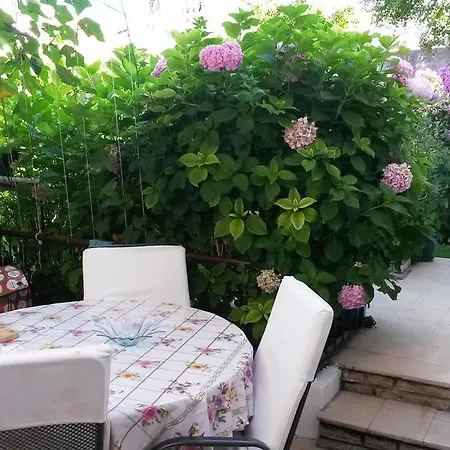 Franka Apartament Biograd Na Moru