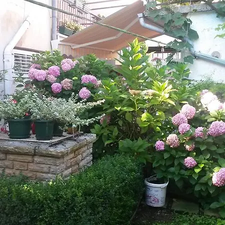 Franka Biograd Na Moru